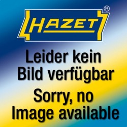 HAZET Bec de 6,4 mm (1/4″) Hazet 9037-2-06/3