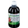 JUVAMINE Thé vert Guarana 500ml