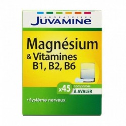 Juvamine Magnésium & Vitamines B1 B2 B6 Arôme Système Nerveux (lot de 2)