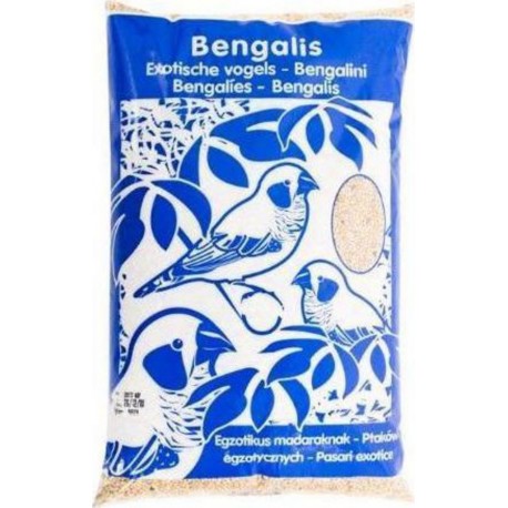 Riga Bengalis 1Kg