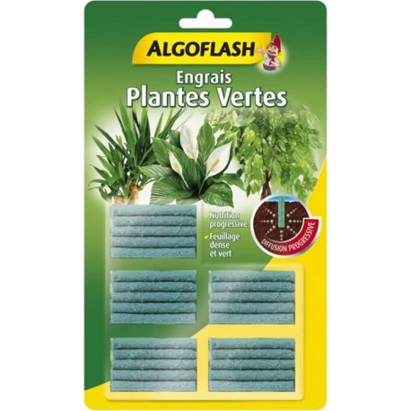 Algoflash Engrais Plantes Vertes Diffusion Progressive bâtonnets x25 (lot de 3 soit 75 bâtonnets)