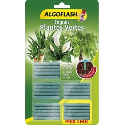 Algoflash Engrais Plantes Vertes Diffusion Progressive 25 bâtonnets x25