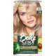 GARNIER Belle Color - Coloration Naturals Blond Clair Cendré 8.11 Sans Ammoniaque et Vegan