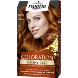 Schwarzkopf PALETTE 870 BLD TERRACOTTA