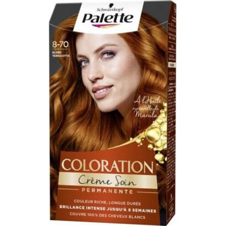 Schwarzkopf PALETTE 870 BLD TERRACOTTA