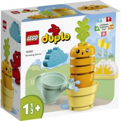 LEGO® DUPLO 10981 LA CAROTTE QUI POUSSE