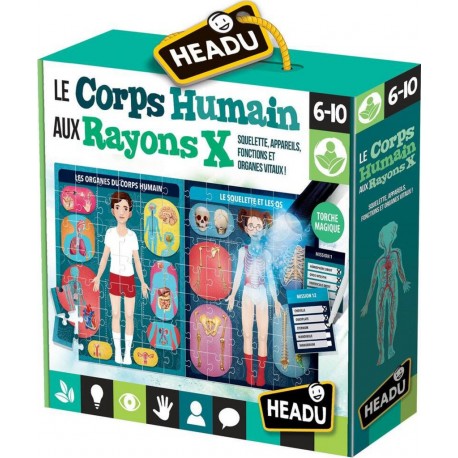 HEADU LE CORPS HUMAIN AUX RAYONS X