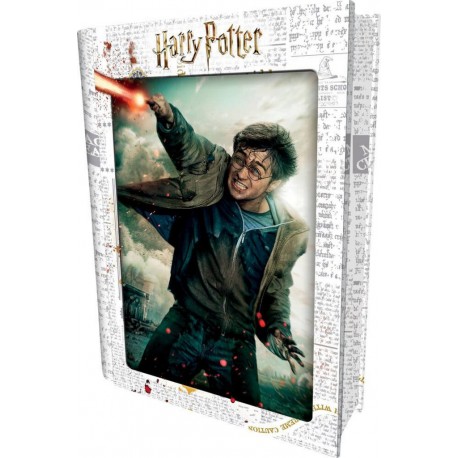 PRIME PUZZLE 300 PIECES HARRY POTTER 3D