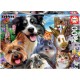 EDUCA PUZZLE 500 PIECES FUNNY SELFIE