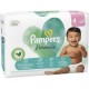 Pampers Harmonie Taille 4 (9-14Kg) x36