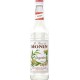 Sirop Monin Gingembre