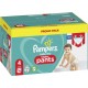 Pampers PACK PANTS BABY DRY T4 x96