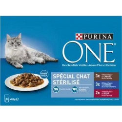 PURINA Aliment pour chat effilés en sauce divers assortiments 8x85g