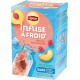 LIPTON COLD INFUSE INFUSION GLACEE FRAMBOISE & PECHE 35g