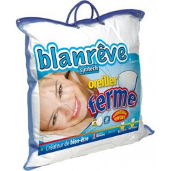 Blanrêve Blanreve Oreiller FERME 60x60cm