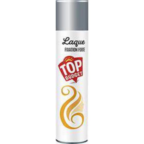 TOP BUDGET LAQUE FIX FORTE400M