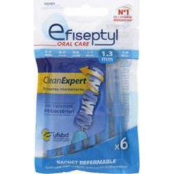 EFISEPTYL EFISEPT BROSS.CLEAN EXP 1,3MM boîte 6