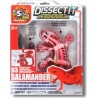 SILVERLIT DISSECT-IT SALAMANDRE SLIME A DISSEQUER
