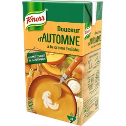 Knorr Soupe Douceur d’Automne à la crème fraiche 1L