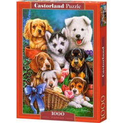 Castorland Puzzle Chiots, Puzzle 1000p