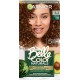 CLAIR BELLE COLOR LES CHATAINS ECLAT COLORATION PERMANENTE 5.3