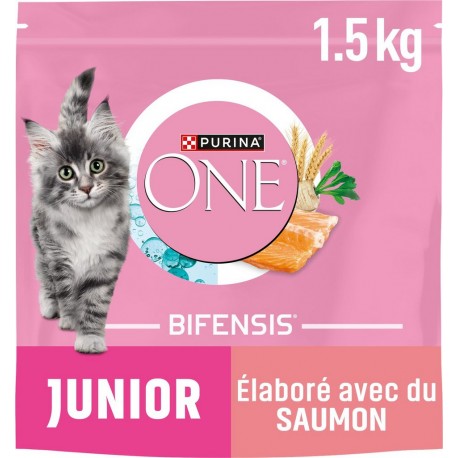 PURINA Croquettes pour chat junior de 1 à 12 mois au saumon 1,5Kg