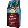 NC Croquettes Carnilove Chat Adult Sensitive & Long Hair Saumon 400g