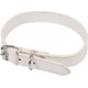 Collier Pour Chien design Uni 40cm Blanc