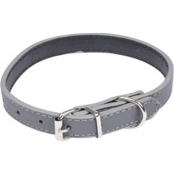 NC Collier Pour Chien design Uni 30cm Gris