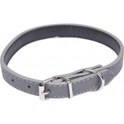 NC Collier Pour Chien design Uni 40cm Gris