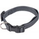 NC Collier Réglable Pour Chien essentiel 45cm Anthracite