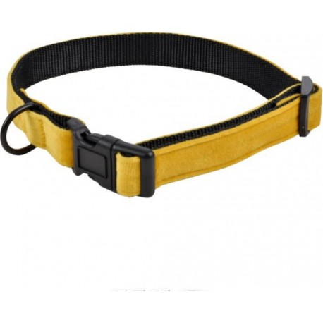 NC Collier Pour Chien cosy Golden 70cm Jaune