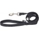 NC Laisse Pour Chien essentiel 120cm Noir