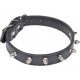 NC Collier Fantaisie Pour Chien pics 45cm Noir