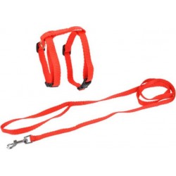 NC Harnais & Laisse Pour Chat kit 120cm Rouge