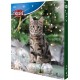 NC Trixie Calendrier De L'avent Premio Pour Chat, 1 Calendrier