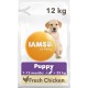 NC Croquette Iams Vitality Chiot Grande 12Kg Poulet