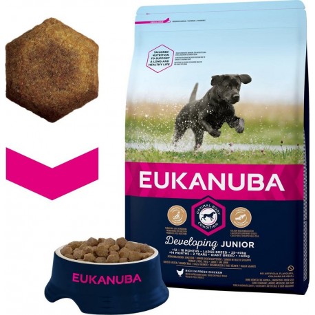 NC Eukanuba Croquette Pour Chiot De Grande Race Poulet 3Kg