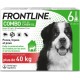 Frontline Combo Très Grand Chien (40 À 60Kg) (6 Pipettes) les 6 unités