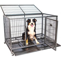 NC Cage Pour Chien Intérieur Et Extérieur Mouvedyxl, 123x79x84cm, Caisse De Transport, Roues Verrouillables, Pliable, 2 Po