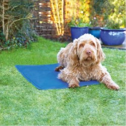 NC Rosewood Tapis De RefroidissementL Bleu Pour Animaux De Compagni