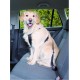 NC Trixie Harnais Pour Voiture Pour Chien 50-70 Cm