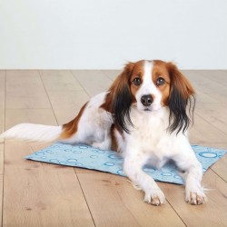 Clair Tapis Rafraîchissant Pour Chiens M 50x40 Cm Bleu Trixie