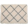 NC Tapis Isolants Pour Chiens 50 X 70 Cm Beige. Zolux