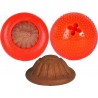 NC Balle À Mâcher Treat Bento, S