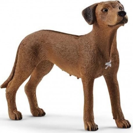 Schleich Figurine Chien De Rhodésie A Crete Dorsale 13895 Farm World