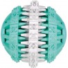 NC Denta Fun Balle Mintfresh, 7 Cm