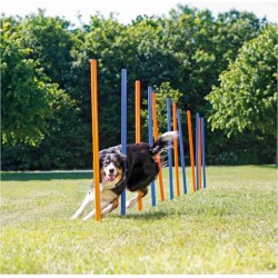 NC Slalom Agility Pour Chien Ø 3 × 115 Cm Trixie