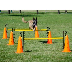 NC Ensemble D'obstacles Fitpaws