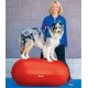 NC Plate-forme D'équilibre Pour Animaux De Compagnie 50 Cm Rouge Fitpaws